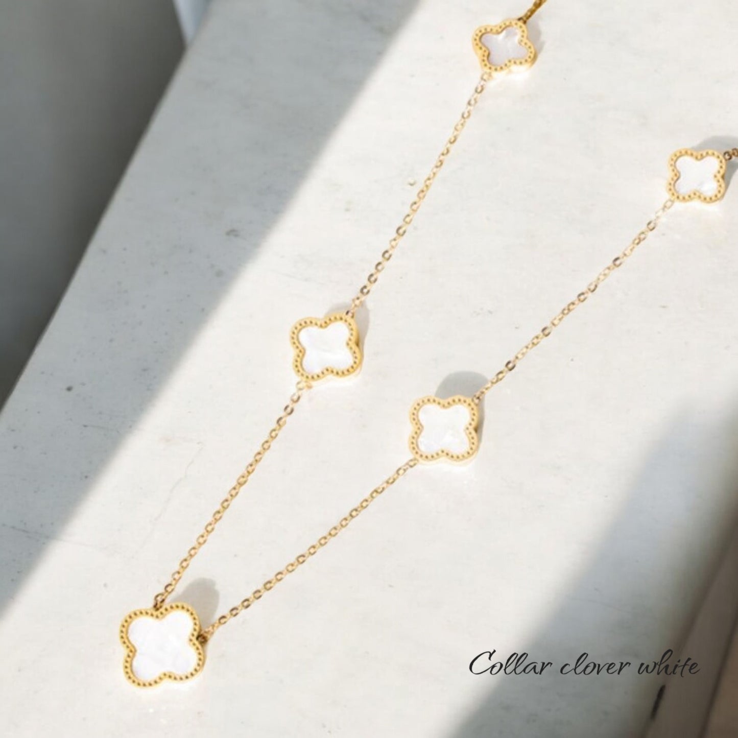 Collar clover white