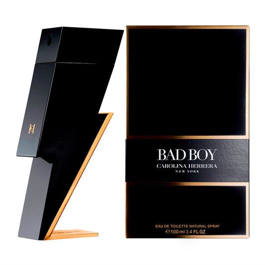 Bad Boy Agua de tocador 100ml hombre